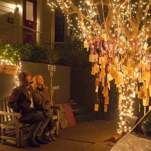 Vanessa Sabarese reaps an unusual harvest on her Wishing Tree